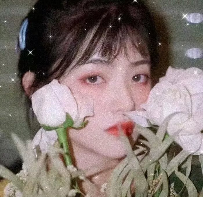 陈善圭 照片